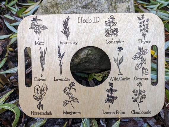 Nature Learning Herb Tray, Birch Wood (12 Engraved Herbs, Handles)