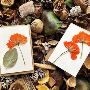 two cards with orange flowers and leaves on a pile of pine cones