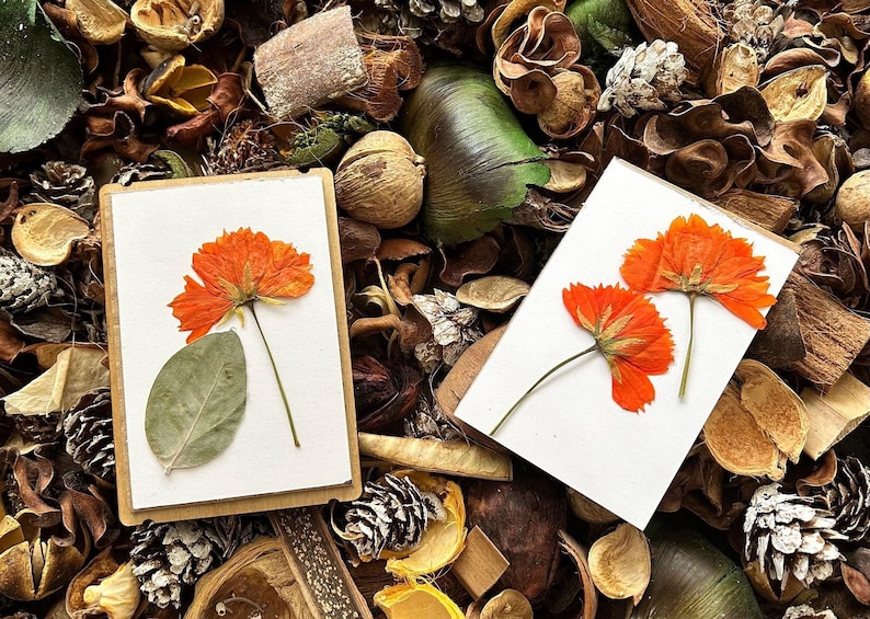 two cards with orange flowers and leaves on a pile of pine cones