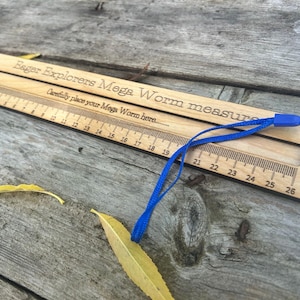Mega Worm measure: Large Wooden Ruler - Natural Oil Finish image 6