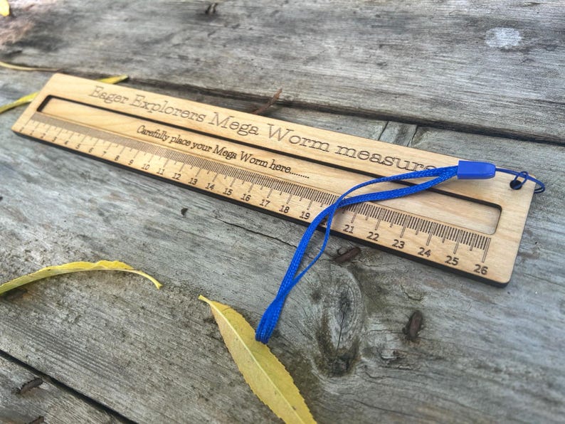 Mega Worm measure: Large Wooden Ruler - Natural Oil Finish image 6