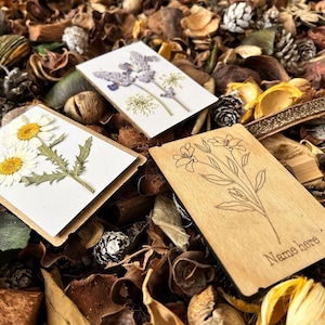 a pile of dried flowers sitting on top of a pile of leaves