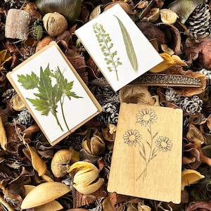 a couple of cards sitting on top of a pile of leaves