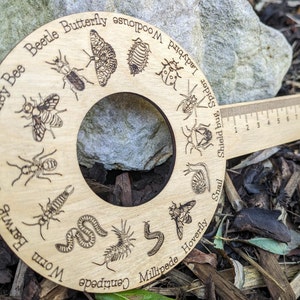 Erkennungsmarke für wirbellose Tiere, Lutscher, Insektenidentifizierer, personalisiertes Lehrergeschenk, Geburtstagsgeschenk, Waldschule, Tierchen