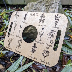 Nature Learning Herb Tray, Birch Wood (12 Engraved Herbs, Handles) image 3