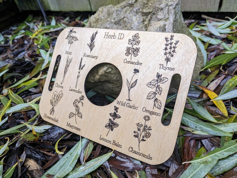 Nature Learning Herb Tray, Birch Wood (12 Engraved Herbs, Handles) image 3