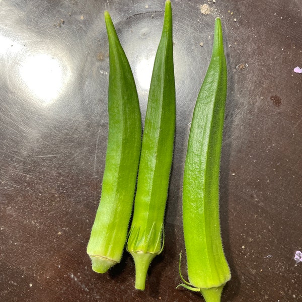 Indian Non-GMO green okra