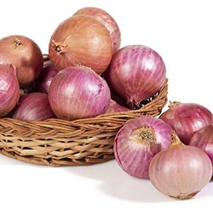 Indian Big onion seeds / nattu periya vengayam seeds / nattu ulli  seeds