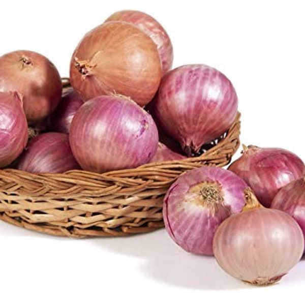 Indian Big onion seeds / nattu periya vengayam seeds / nattu ulli  seeds