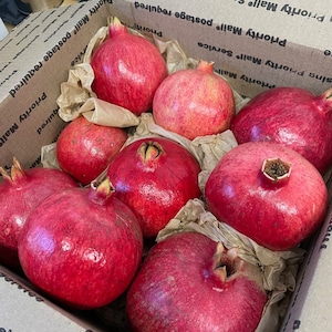 Nine Organically Grown Pomegranates 8+ lbs