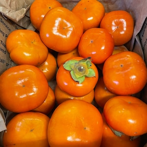 16 Fuyu Persimmons Organically Grown 6+ lbs!