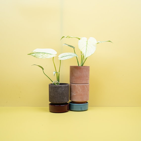 good fertilizer for plants Dyna-Gro Grow main image 1