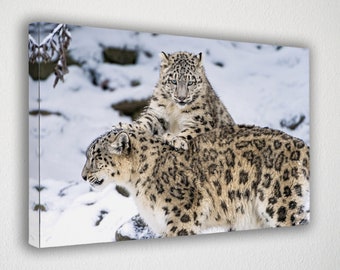 The Rare Snow Leopard Art Print Home Decor Wall Art Poster 