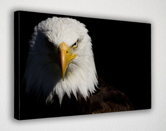American Indian Arrowhead Plaque American Bald Eagle Wall hanging Picture13x10