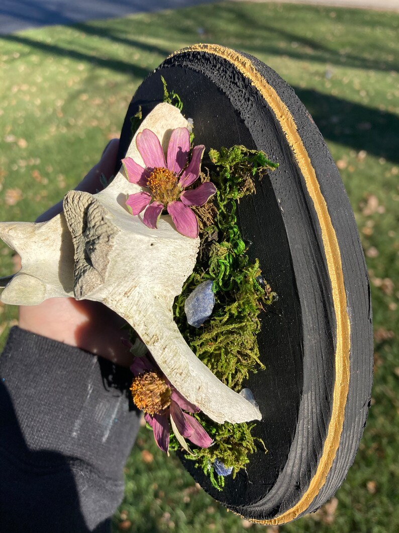 Deer Bone Floral Wall Mount Art Etsy