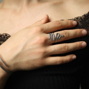 May include: A silver snake ring and a silver snake bracelet. The ring is coiled around the finger and the bracelet is on the wrist.