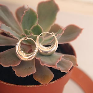 Puede incluir: Pendientes de aro plateados con diseño redondeado, colocados sobre una planta suculenta en una maceta de terracota. Los pendientes tienen un acabado pulido. La planta tiene hojas verdes y rojizas. Diámetro: aprox. 2.5 cm.