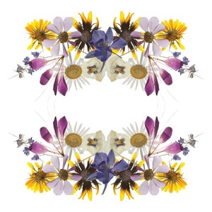 Gepresste Blumen - Frühlingsblumen Floral - Mandala Kartendesign - Ostern Floral - Frühling