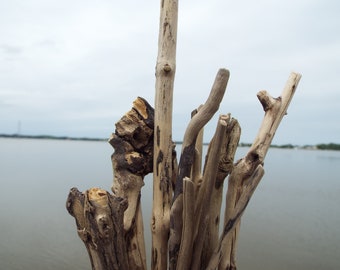 12 pc Driftwood Sticks