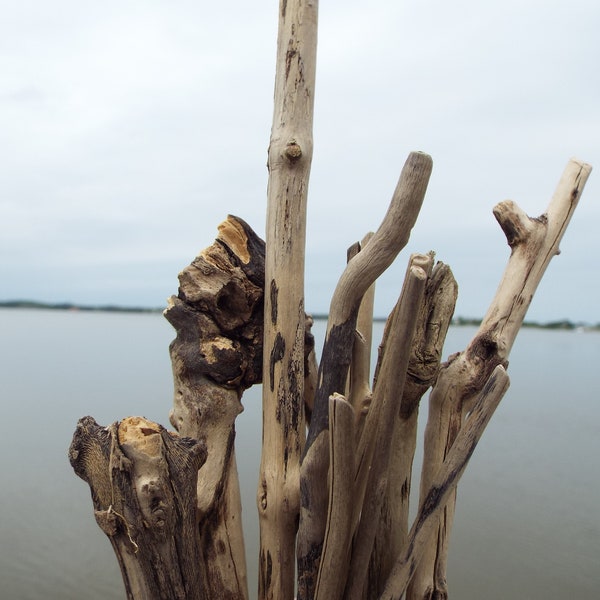 12 pc Driftwood Sticks