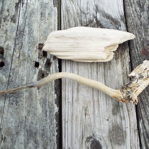 2 pc Driftwood Pieces