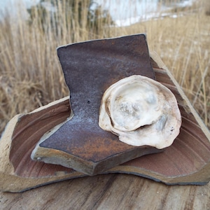 May include: A broken piece of pottery with a white seashell on top. The pottery is brown and has a rough texture. The seashell is white and has a smooth texture.