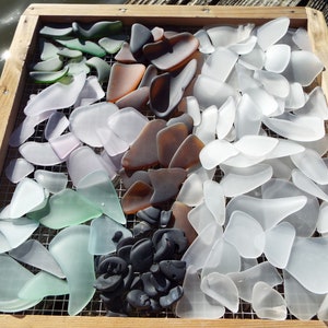 Assortiment de verres de mer de la deuxième chance