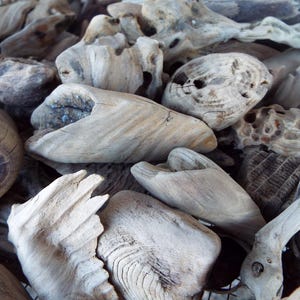 Small drift wood knots