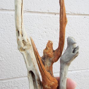 3 pc, Funky, Driftwood Sticks