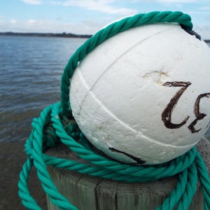 Może przedstawiać: Biała boja z napisem "7E" przywiązana do drewnianego słupa zielonym sznurem.