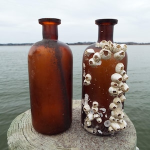 Barnacled Twin Glass Bottles, Vintage