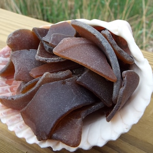 Shelled Amber Pretties, Sea Washed Sea Glass