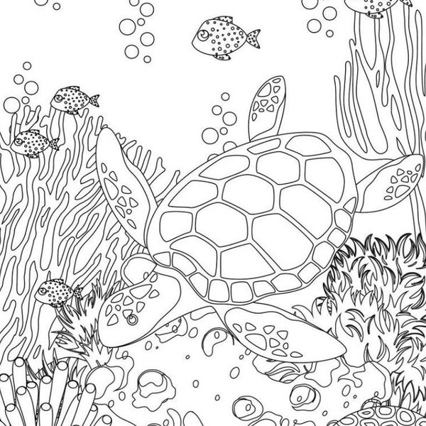 5 Ocean coloring pages