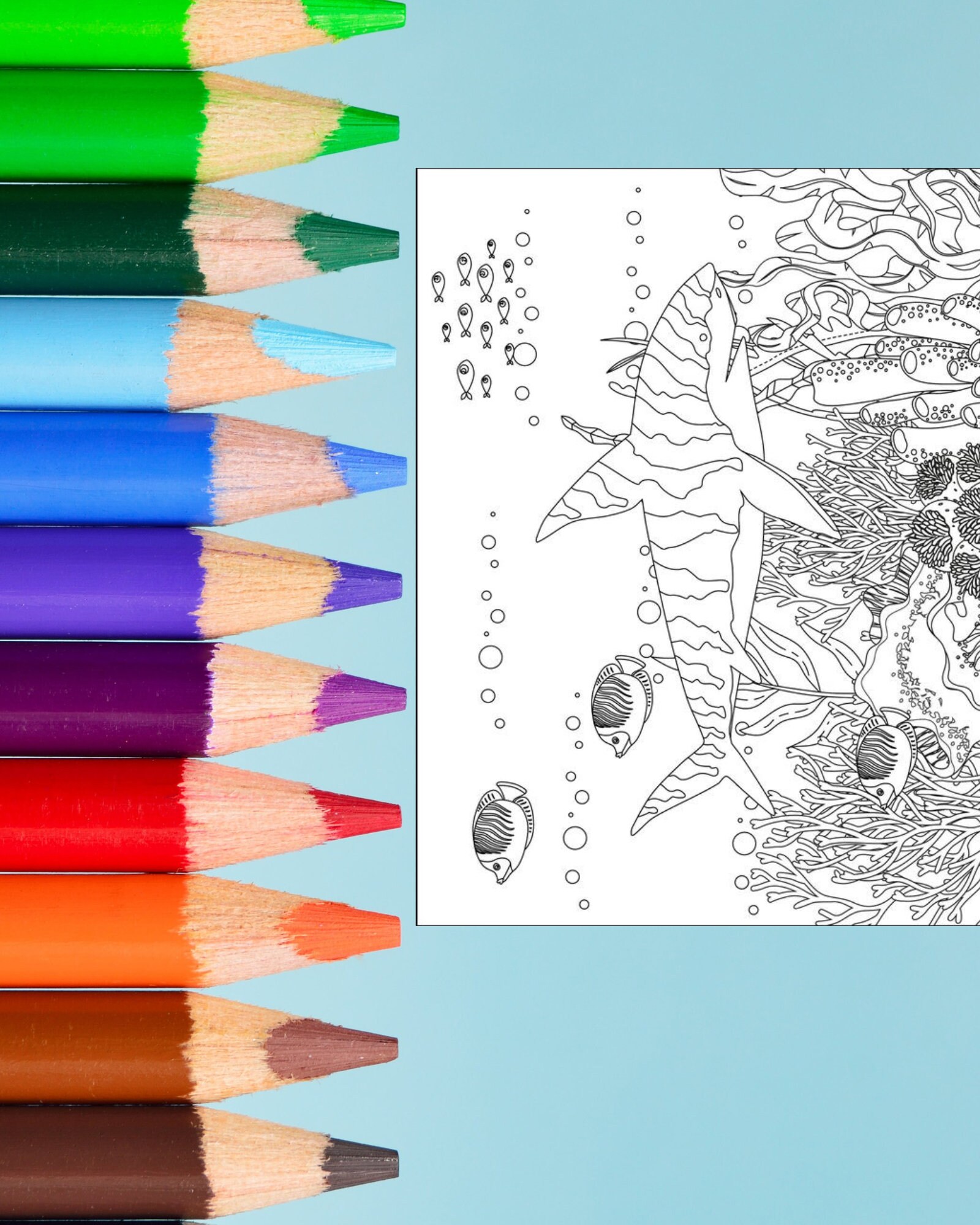 5 Ocean Coloring Pages - Etsy