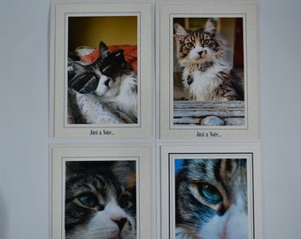 Cat Note Cards