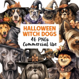 Halloween Hexe Hunde Clipart, Hundeliebhaber Illustrationen, Herbst Hunderasse PNGs, Welpen Sublimationsgrafiken, DIGITAL DOWNLOAD