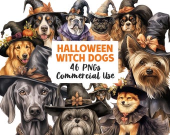 Può includere: Una collezione di 46 illustrazioni digitali di cani che indossano cappelli da strega e costumi. Le illustrazioni sono in stile cartone animato e presentano diverse razze di cani. Il testo "HALLOWEEN WITCH DOGS 46 PNGs Commercial Use" è visualizzato su uno sfondo bianco.