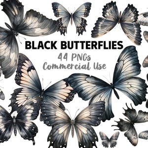 Schwarzer Schmetterling Clipart, Aquarell PNG Dateien, Goblinkern Motten Grafik, Feenkern Waldkern witchy mystische Goth Ästhetik, digitaler Download