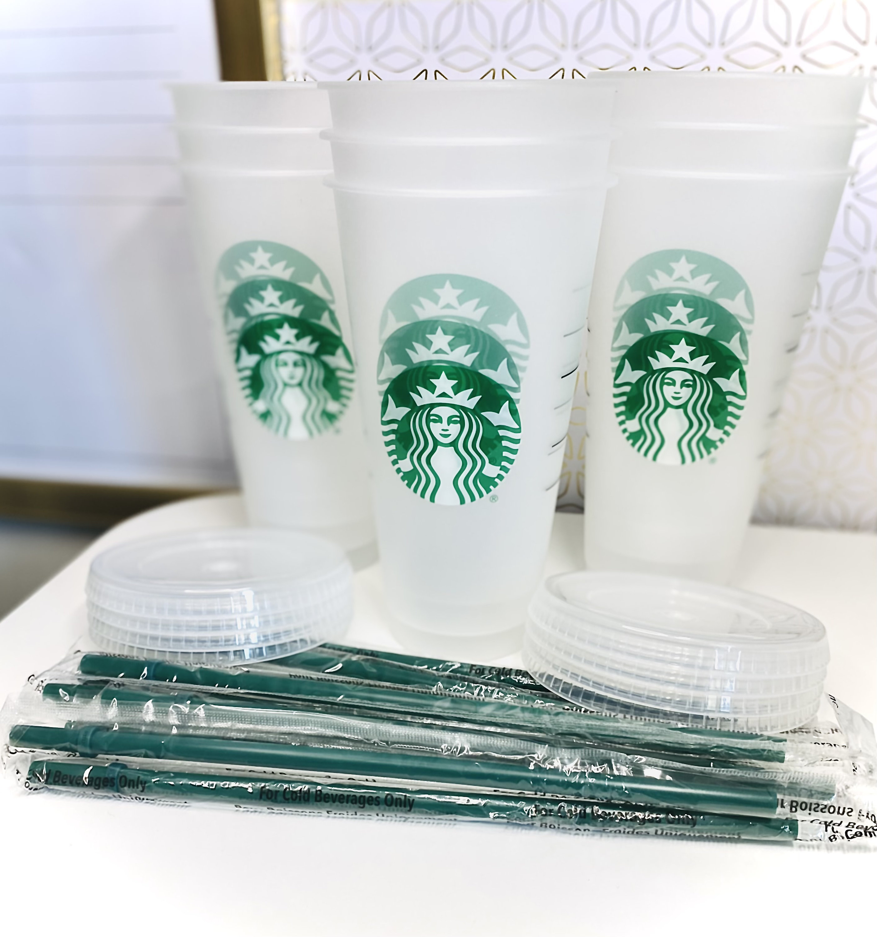 Starbucks Reusable 3 Hard Plastic Venti 24 oz Frosted Ice Cold Drink Cup  With Lid and Green Straw w/Stopper