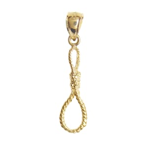May include: A gold-colored pendant shaped like a noose, a type of knot used for hanging.