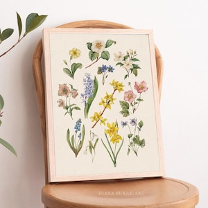 Lentebloemen Art Print, botanische illustratie, bloemposter, bloemkunst aan de muur, bosrijke kwekerij, vintage botanische grafiek vintage print