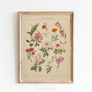 Lentebloemen Art Print, botanische illustratie, bloemposter, bloemkunst aan de muur, bosrijke kwekerij, vintage botanische grafiek vintage print