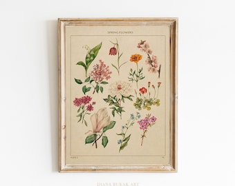 Spring Flowers Art Print, Botanical Illustration, Flower Poster, Flower Wall Art, Woodland Nursery, Vintage Botanical Chart Vintage Print