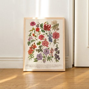 Zomerbloemen Art Print, botanische illustratie, bloemposter, bloemkunst aan de muur, bosrijke kwekerij, vintage botanische grafiek vintage print