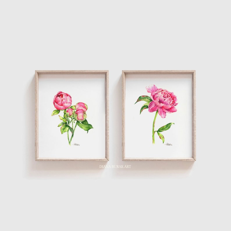 Peony Prints Set of 2, Peony Wall Art, Set of 2 Flower Posters, Peony ...