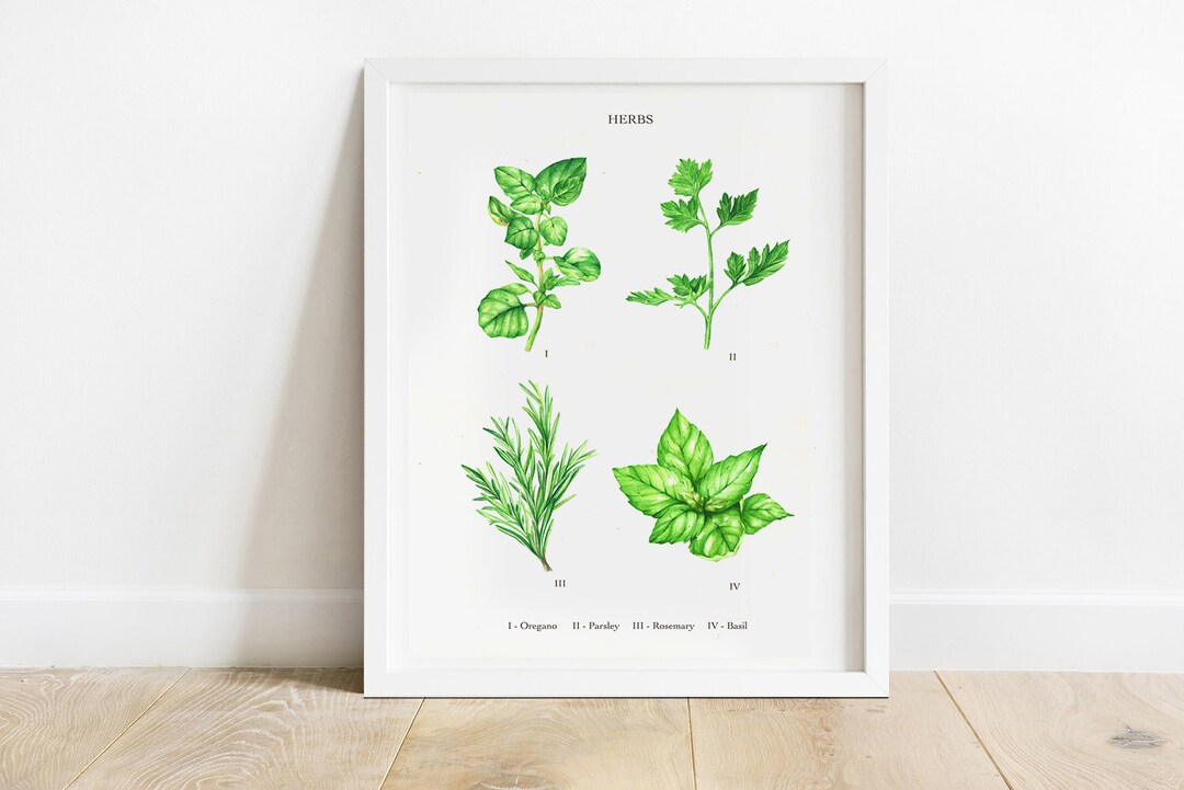 Herb Art Print, Botanical Illustration, Herb Chart Poster, Herb Wall ...