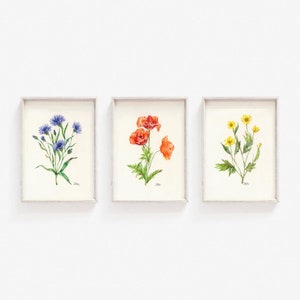 Wildblumen-Drucke 3er-Set, lebendige Blumen-Wandkunst, 3er-Set Blumenposter, Blumen-Wandkunst, 3er-Set Blumendrucke, Geschenk für Blumenliebhaber
