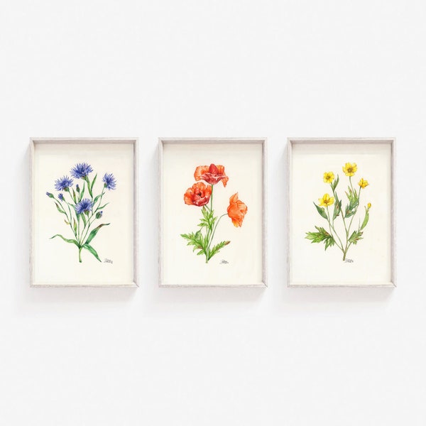 Wild Flowers Prints Set de 3, Vibrant Flowers Wall Art, Set de 3 affiches florales,Art mural fleuri,Set de 3 impressions florales,Cadeau pour amateur de fleurs