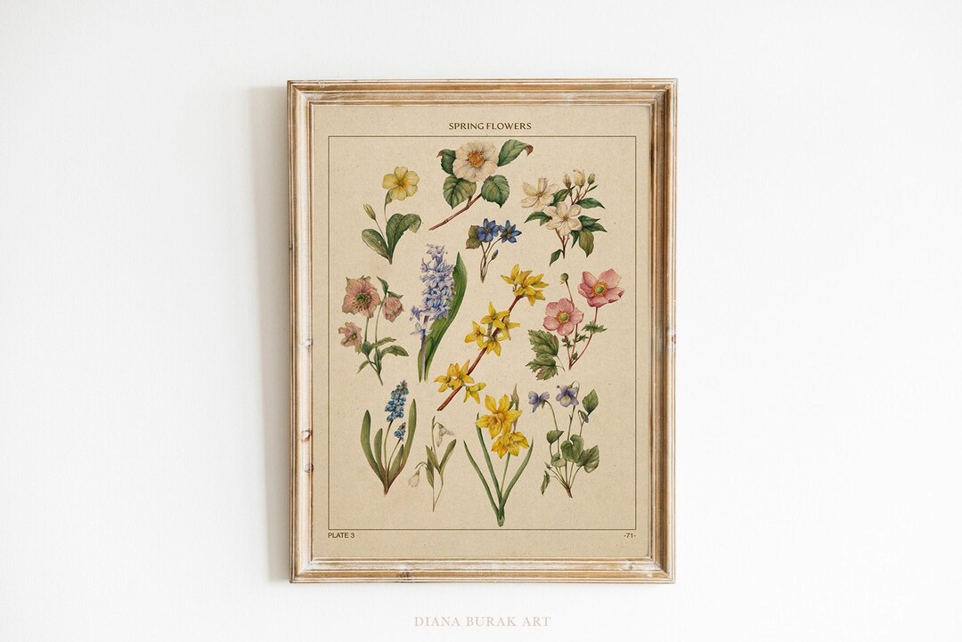 Spring Flowers Art Print, Botanical Illustration, Flower Poster, Flower ...