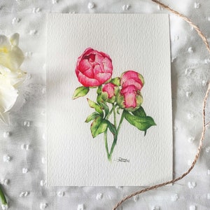 Flower Postcard Set, Card Set, Peony Card Bundle, Postcard Pack, Watercolor Flowers, Gift For Flower Lover, Peony Postcard Set image 4